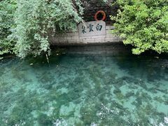 -趵突泉景区