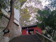 -白帝城·瞿塘峡景区