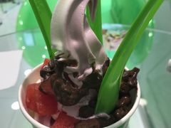 -Salud撒露欧洲冻酸奶(蓝色港湾店)