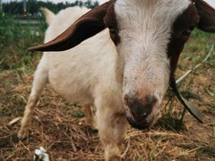 -天津东丽湖风景区