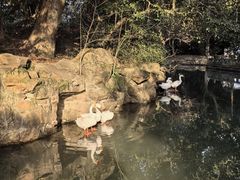 -兰亭风景区