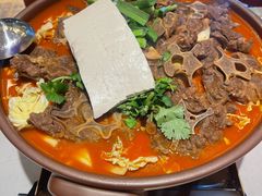-杨氏青龙虾·羊蝎子(托乐嘉店)