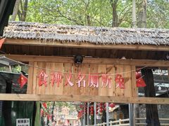 -食神又名厕所兔