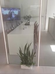 -紫琪尔·匠心连锁·胸部护理养护