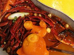 -青瓷火锅料理(西单大悦城店)