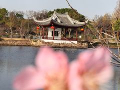 -无锡蠡湖国家湿地公园-蠡园