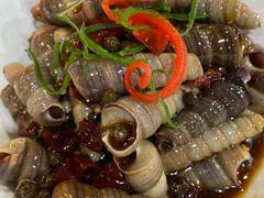 -大锅强·蒸海鲜青岛菜(吾悦广场店)