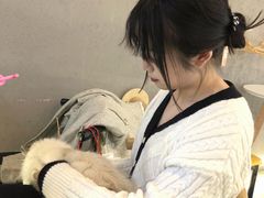 -喵喵咪呀布偶猫咖(春熙路店)