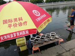 -海河游船-永乐码头(大悲院)