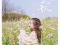 -杭州湾海上花田景区