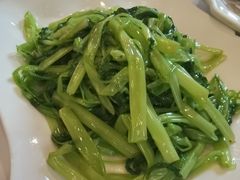 -华南师范大学石牌校区陶园