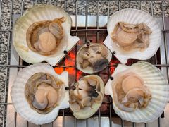 -震海贝烤贝·民俗特色店(延吉总店)