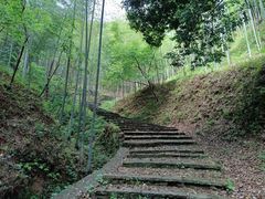 -午潮山国家森林公园