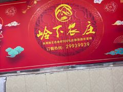 -岭下农庄·农家菜·野生大头鱼·公司团建(福永凤凰山店)