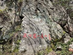 -王顺山国家森林公园