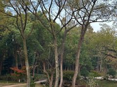 -杭州植物园