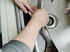 -千岛湖鱼味馆(十字街总店)