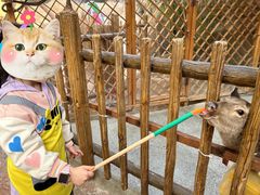 -杭州开元森泊度假乐园