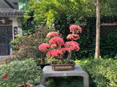 -惠山古镇·寄畅园