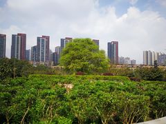-重庆彩云湖湿地公园