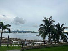 -雾山韩式烤肉·海南糟粕&椰子鸡火锅·海景餐厅(三亚绿发山海天JW万豪酒店)