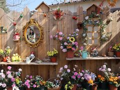 -HERRE·FARM 赫尔露营农场·团建聚会包场