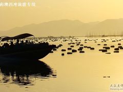 -西涌国际滨海旅游区