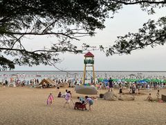 -碧海金沙