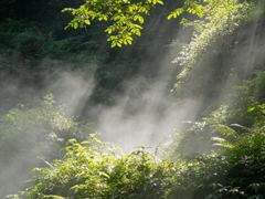 -青城山
