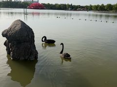 -洛阳市隋唐城遗址植物园