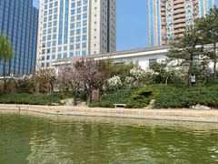 -团结湖公园