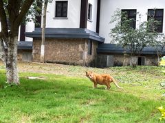 -南山风景名胜区