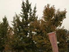 -汉景帝阳陵博物院