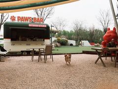 -爪吧宠物乐园 (温榆河示范区店)