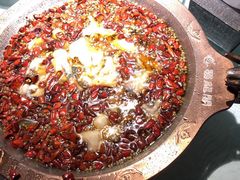 -雲蜀龙阁·金牌水煮鱼(方庄店)