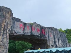 -合肥野生动物园