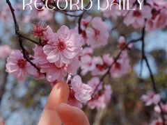 -堤角公园