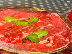 -钢管厂五区小郡肝火锅串串香(总店)