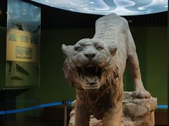 -鄂尔多斯青铜器博物馆