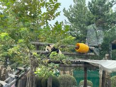 -大连森林动物园