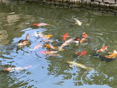 -三里河公园