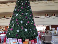 -天津燕园国际大酒店
