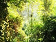-广东温泉宾馆
