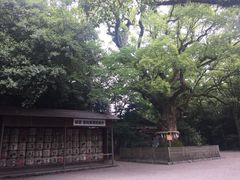 -热田神宫