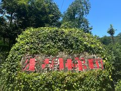 -牙胡梯田