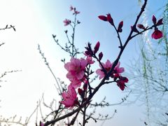 -杭州城北体育公园