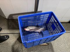 -笑红饭庄