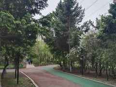 -黛秀湖公园