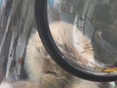 -心仪动物医院·牙专科·肿瘤·心脏科(西客站院)