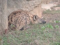 -杭州野生动物世界
